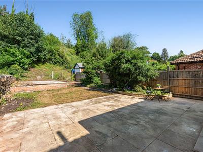 Picture 23